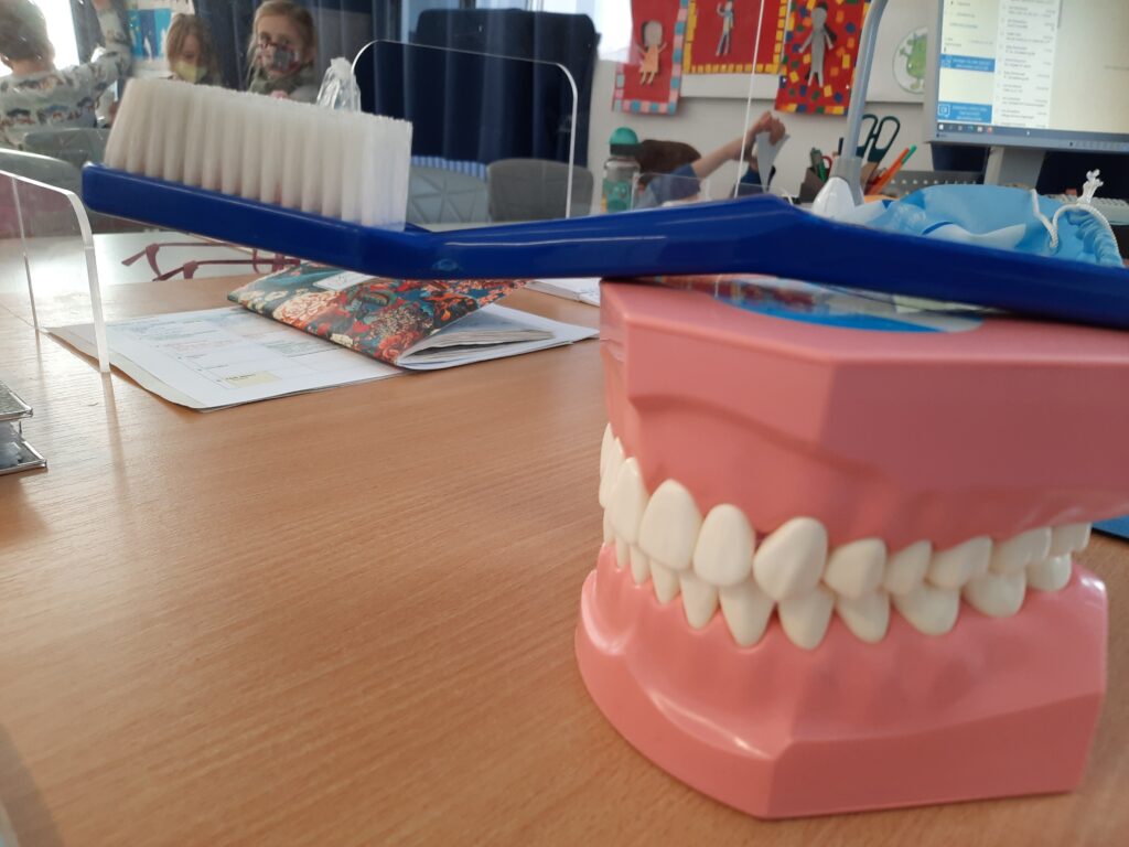 Unterricht im richtigen Zähneputzen