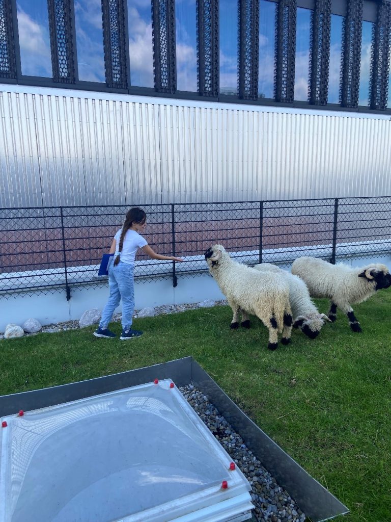 Zu Besuch auf einer Alm – mitten in München!