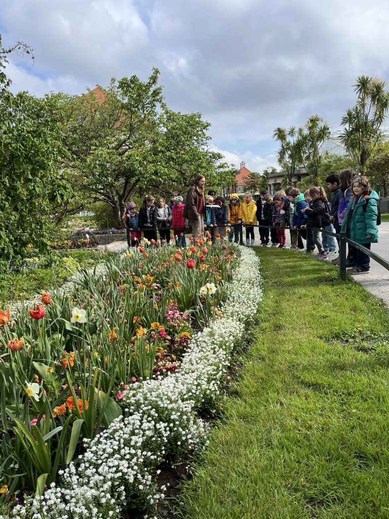 Blütenmeer im Botanischen Garten