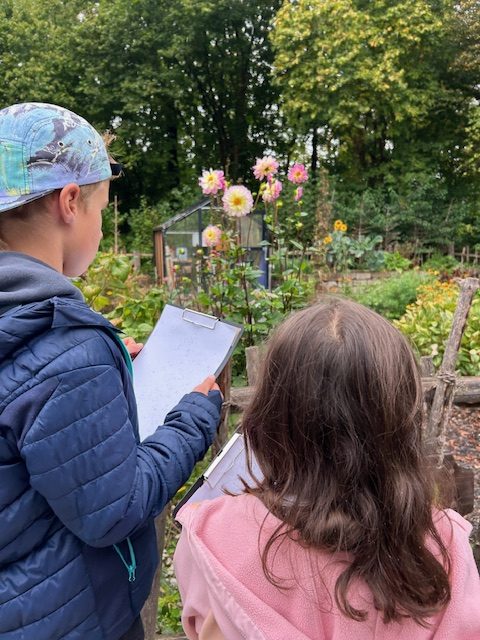 Die 4a beim Aktionstag „Färbergarten“ in der Tierparkschule